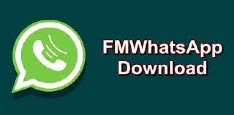 FMWhatsApp APK 1