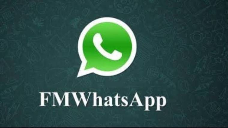 FMWhatsApp APK 2
