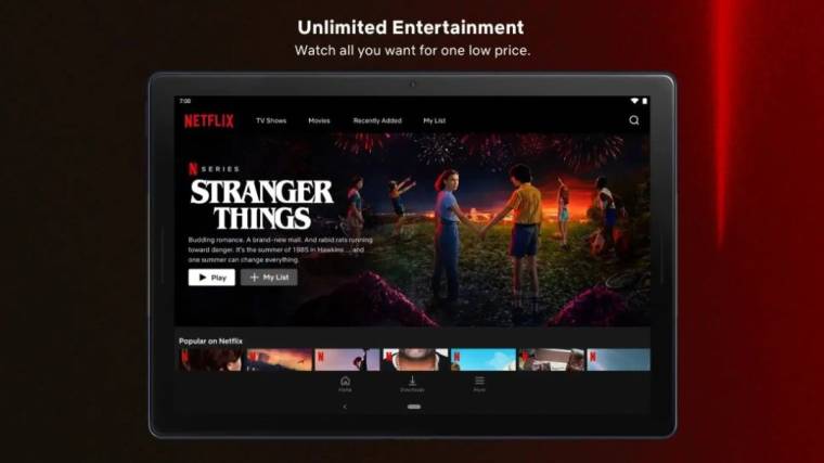 Netflix Download